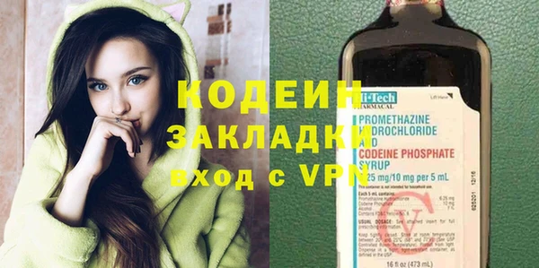 индика Алзамай