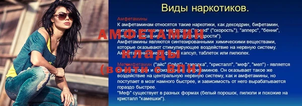 гидра Алексин
