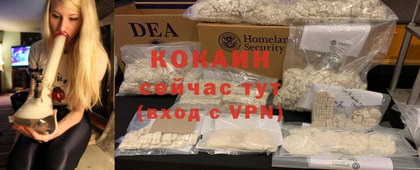 индика Алзамай