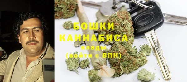 гидра Алексин