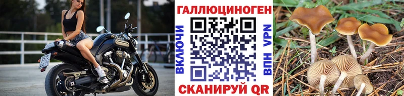 Псилоцибиновые грибы мухоморы гидра зеркало Лесосибирск закладки